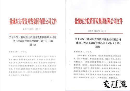 挑刺找茬 挤水分 质量优先创精品 盐城东方集团深入开展智能化工程专项检查活动