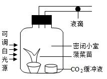 乡村振兴战略是近年来党和政府为 确保国家粮食安全,把中国人的饭碗牢牢端在自己手中 而开展的重要系统工程 建造塑料大棚,生产绿色有机农产品,是系统工程内容之一 某农户新建大棚种植菠菜